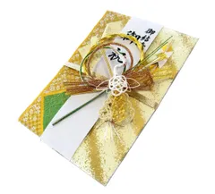 新品 (100万円用 結納金や各種お祝いに 100万円用 緑) 大きいサイズ ご祝儀袋 NK470G 水引そうきち