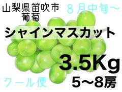 山梨県笛吹市　シャインマスカット3.5kg ８月中旬より