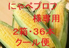２箱・２６本・クール便・にゃべプロフ様専用・ゴールドラッシュ