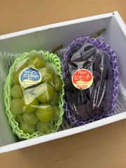 ぽっきー様専用!感謝祭❗️化粧箱入❗️送料無料❗️家庭用 ぽっきー様専用!感謝祭❗️化粧箱入❗️送料無料❗️家庭用