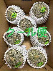 タカミメロン  Mサイズ 7個入 箱込4.5キロ程度 茨城県産