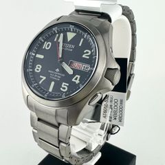 稼動】 激レア CITIZEN プロマスター ロバートスワン フルチタン