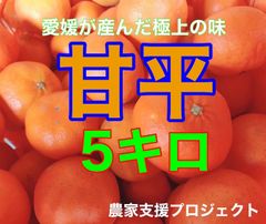 甘平　家庭用　5キロ