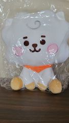 BTS bt 21 Basic 봉제 인형 RJ