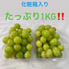 朝獲れ❗️化粧箱入り❗️粒だけたっぷり1キロ❗️送料無料❗️岡山県産　シャインマスカット　粒売り　葡萄