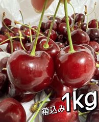 超大粒9.5rowアメリカンチェリー1kg ネコポス発送 - メルカリ