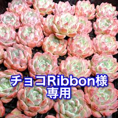 チョコRibbon様専用 - メルカリ