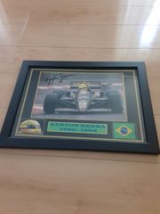 海外　Ayrton Senna  アイルトン・セナ  F1 レプリカ サイン　ディスプレイ