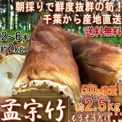 2025年最新】もうそう竹の人気アイテム - メルカリ