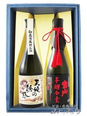 日本酒2本セット 純米大吟醸 亀田 720mI 純米大吟醸原酒天翔亀 720ml