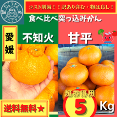 【食べ比べ⭐︎突っ込みかん】愛媛県産　甘平×不知火（デコポン）　5kg