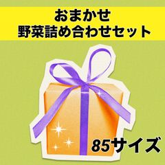 水曜日発送‼️おまかせ野菜詰め合わせセット‼️たっぷり85サイズ‼️のサムネイル