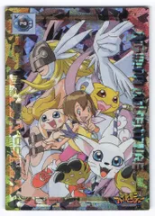 アマダ デジモンアドベンチャー トレーディングコレクションライト④ Amazon.co.jp: デジモンアドベンチャー トレーディング