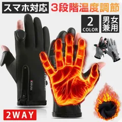 電熱手袋 ヒーター付き 3段階温度調節 スマホ対応 男女兼用 裏フリース 撥水 ホットグローブ 電熱グローブ 配色 柔らかい フード付き 指切り カバー 2way グローブ USB給電式 手袋 バイク 自転車 散歩 魚釣り 洗濯可能 E2av426