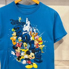古着　M　ディズニー　Tシャツ　水色　2012年   ミッキー   ミニー   ドナルド   プルート   グーフィー   プーさん   ピグレット   ティガー   グランピー   ドーピー
