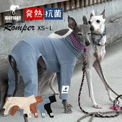 2026年最新】イタリアングレーハウンドの人気アイテム - メルカリ