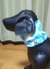 顔出しアニマル　クールネック【中型犬向け】