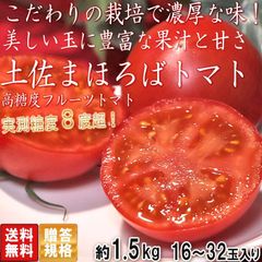 土佐まほろばトマト 約1.5kg 16～32玉 高知県産 贈答規格 こだわりの栽培で濃厚な味と甘さのフルーツトマト！