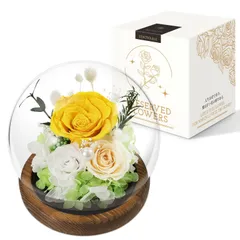 新品 SENJWARM プリザーブドフラワー ガラスドーム フラワーアレンジラッピング済み バブルドーム 3輪 母の日のプレゼント人気、母の日 花、女性 女友達 贈り物 彼女 妻 プレゼント 記念日、ホワイトデー、バレンタインデー、Valentine、ひな祭り