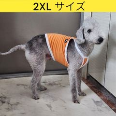 メルカリ イタグレ服 2XL ひんやり 接触冷感 スポーツ クール クロップド タンクトップ 小型犬 中型犬 大型犬 夏 doggystar ドッギースター