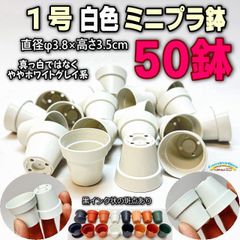 平日＊日中注文即日発送-1号鉢ミニプラ鉢＊白色鉢(ホワイト)-50鉢＊1寸鉢＊多肉植物・塊根植物コーデックス・アガベ・サボテン・盆栽・観葉・ハオルチア・アデニウム・パキポディウム・実生・一寸鉢50個＠フラワーショップ江口