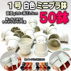 ミニプラ鉢専門店＊一寸鉢＊1号鉢ミニプラ鉢＊白色鉢(ホワイト)50鉢＊1寸鉢＊多肉植物・塊根植物コーデックス・アガベ・サボテン・盆栽・観葉・ハオルチア・アデニウム・パキポディウム＊グラキリス・実生＊ミニ鉢50個＠フラワーショップ江口のサムネイル