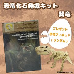 恐竜化石発掘キット 恐竜化石発掘セット 翼竜 知育玩具 おもちゃ