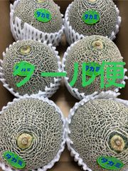 タカミメロン  L中サイズ 箱込5.8キロ程度 茨城県産