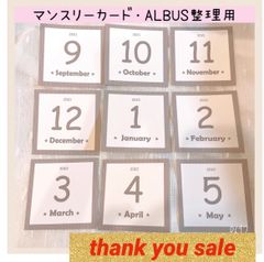 2501【即日発送】★大人気★マンスリーカード　月齢カード　アルバス整理用