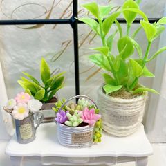 ＃474 ミニチュア インテリア ＊観葉植物⑭