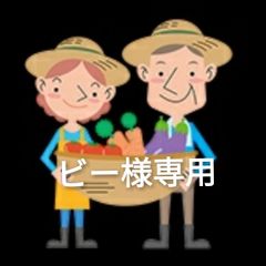 淡路島産新玉ねぎ夢玉 無農薬 高糖度 甘い 香りがいい 淡路島夢玉ファーム
