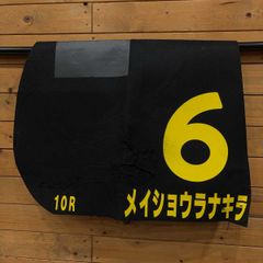 Item thumbnail for item afd9eda5-e938-4c2a-9bfd-e9de7b1c8eb2