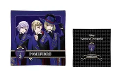 【ディズニーキャラクター】クッション【ポムフィオーレ】【ツイステッドワンダーランド】【マレウス】【カリム】【ヴィル】【イデア】 【リドル】【レオナ】【アズール】【美少年】【映画】【座布団】【シート】【インテリア】