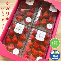 Agri charm＊秋吉台いちご園 - メルカリShops