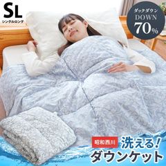 モリリン もちもち シルキーダウンケット ダブル 190×210 ブルー 未