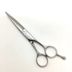 ミズタニシザーズ シザー セニング 2本セット 美容師 理容師 アシスタント ミズタニ シザー セニング 2本セット 美容師 国家試験 美容学生