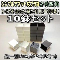 ミニプラ鉢専門店＊シンプルでマットなプラ鉢2号四角(スクエア)-白・こげ茶・混合から10鉢セット＊多肉植物・塊根植物コーデックス・アガベ・サボテン・盆栽・観葉・ハオルチア・アデニウム・パキポディウム＊グラキリス・実生・さし芽・さし木＠フラワーショップ江口のサムネイル