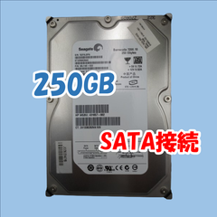 【中古動作品】Seagate 3.5インチHDD SATA(Serial ATA) 250GB ST3250620AS