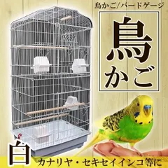 2024年最新】大型 セキセイ インコ 販売の人気アイテム - メルカリ