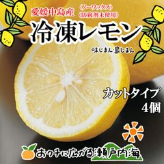 希望の島 国産レモン 500g×4個 【冷凍カットレモン レモンサワー用】
