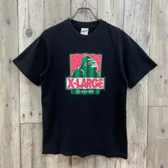 【 XLARGE エクストララージ 】スイカ プリント 半袖 Tシャツ TEE  M