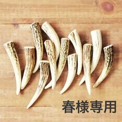 春様専用
