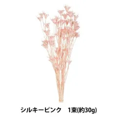 2025年最新】ニゲラオリエンタの人気アイテム - メルカリ
