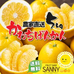 みかん 愛媛県産 河内晩柑 箱込5kg+保証分500g 訳あり （不ぞろい・不選別）のサムネイル
