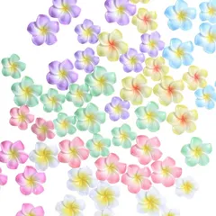 CIWS プルメリア デコ パーツ 70個7色 ハイビスカス ネイル アクセサリー キャラクター レジン 花 造花 キット(小（約2.2cm）)