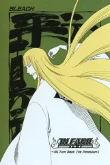 【中古】ポストカード 平子真子 「BLEACH 扉絵ポストカードコレクション」