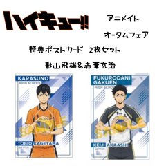 ☆ハイキュー☆-紙類-