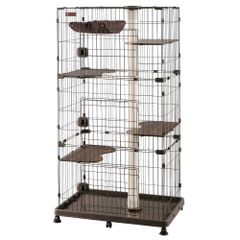 Item thumbnail for item df965369-54ae-4363-9c04-6459315b3a2e