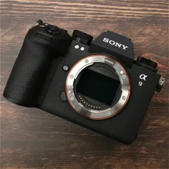 2025年最新】sony α9 ストラップの人気アイテム - メルカリ