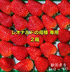 【二箱】大粒〜中粒 紅ほっぺ　いちご 🍓